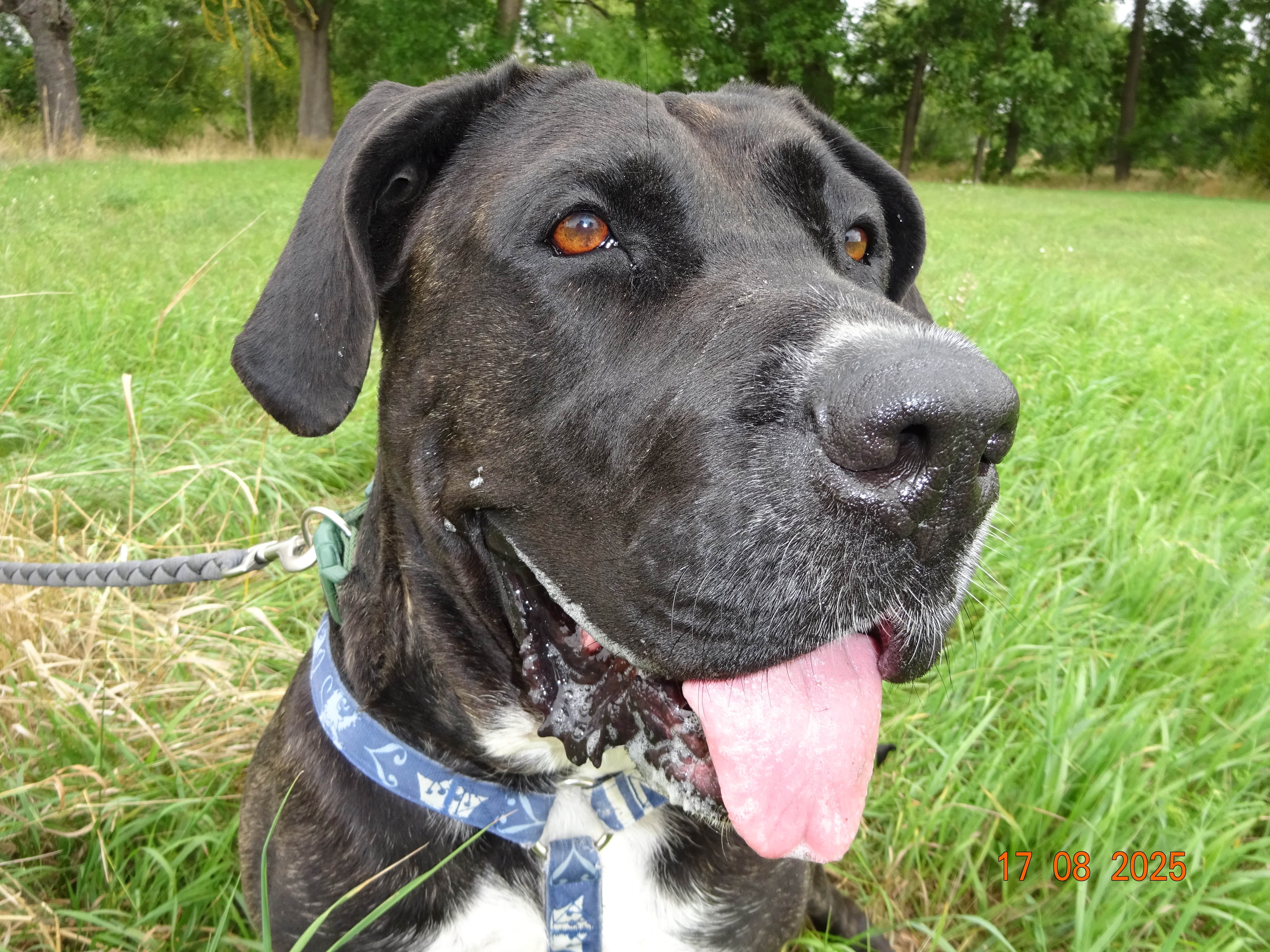 Tonka_DSC00923-min.JPG